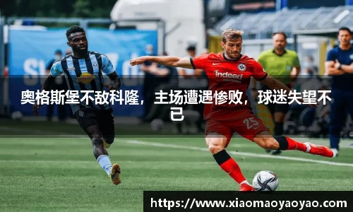易游体育