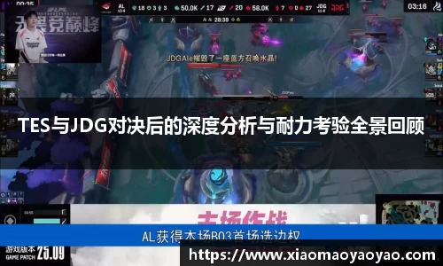 TES与JDG对决后的深度分析与耐力考验全景回顾