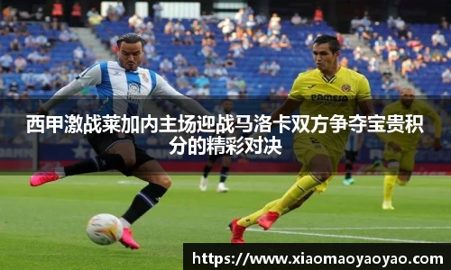 西甲激战莱加内主场迎战马洛卡双方争夺宝贵积分的精彩对决