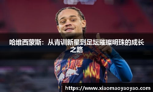 易游体育app