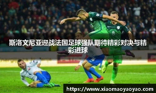 斯洛文尼亚迎战法国足球强队期待精彩对决与精彩进球