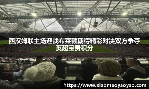 西汉姆联主场迎战布莱顿期待精彩对决双方争夺英超宝贵积分