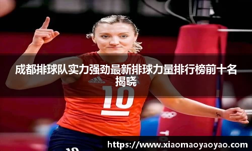 成都排球队实力强劲最新排球力量排行榜前十名揭晓