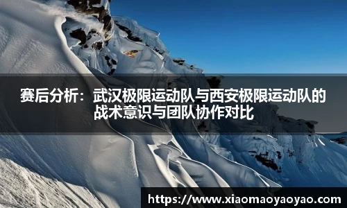 赛后分析：武汉极限运动队与西安极限运动队的战术意识与团队协作对比